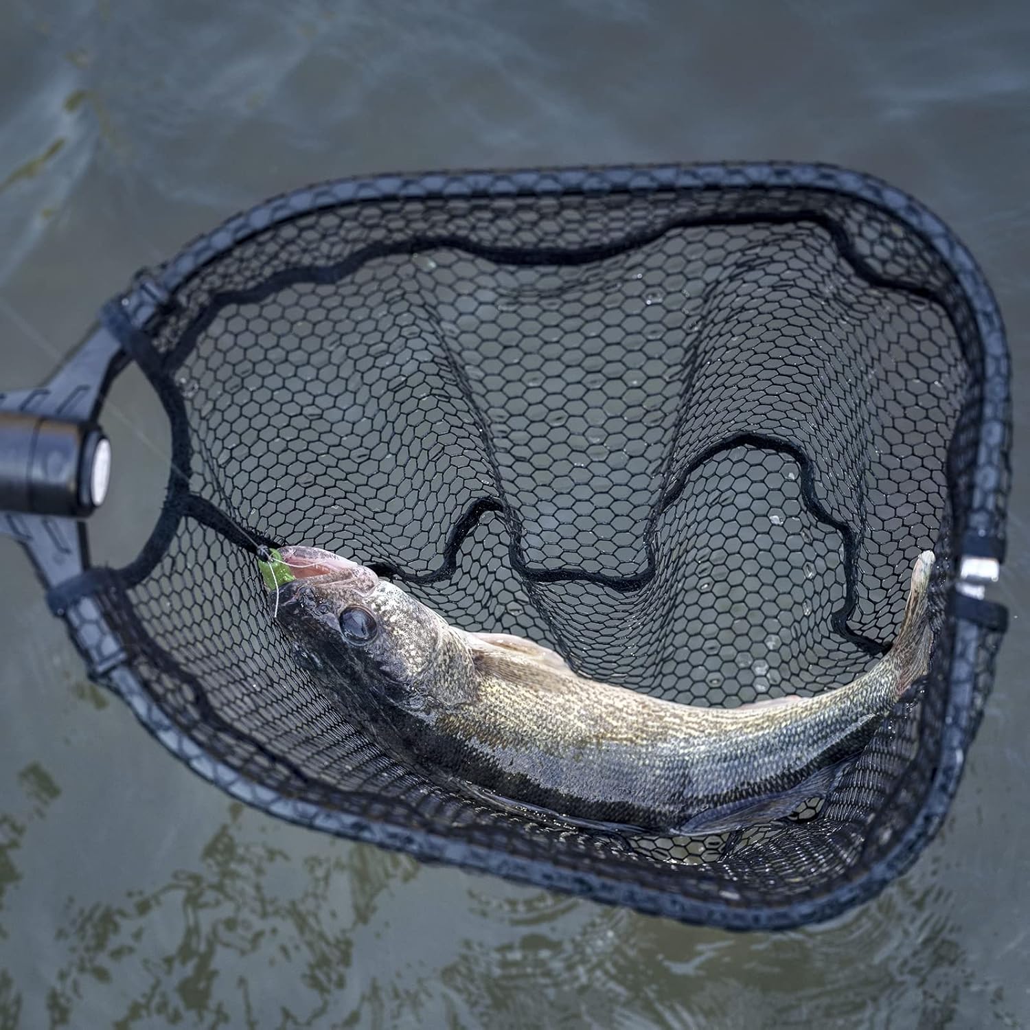 KastKing Brutus Fishing Net, Foldable Extendable Fish Landing Net, Lightweight & Portable Fishing Net with Soft EVA Foam Handle, Holds up to 44lbs/20KG, Fish-Friendly Mesh for a Safe Release - Image 5