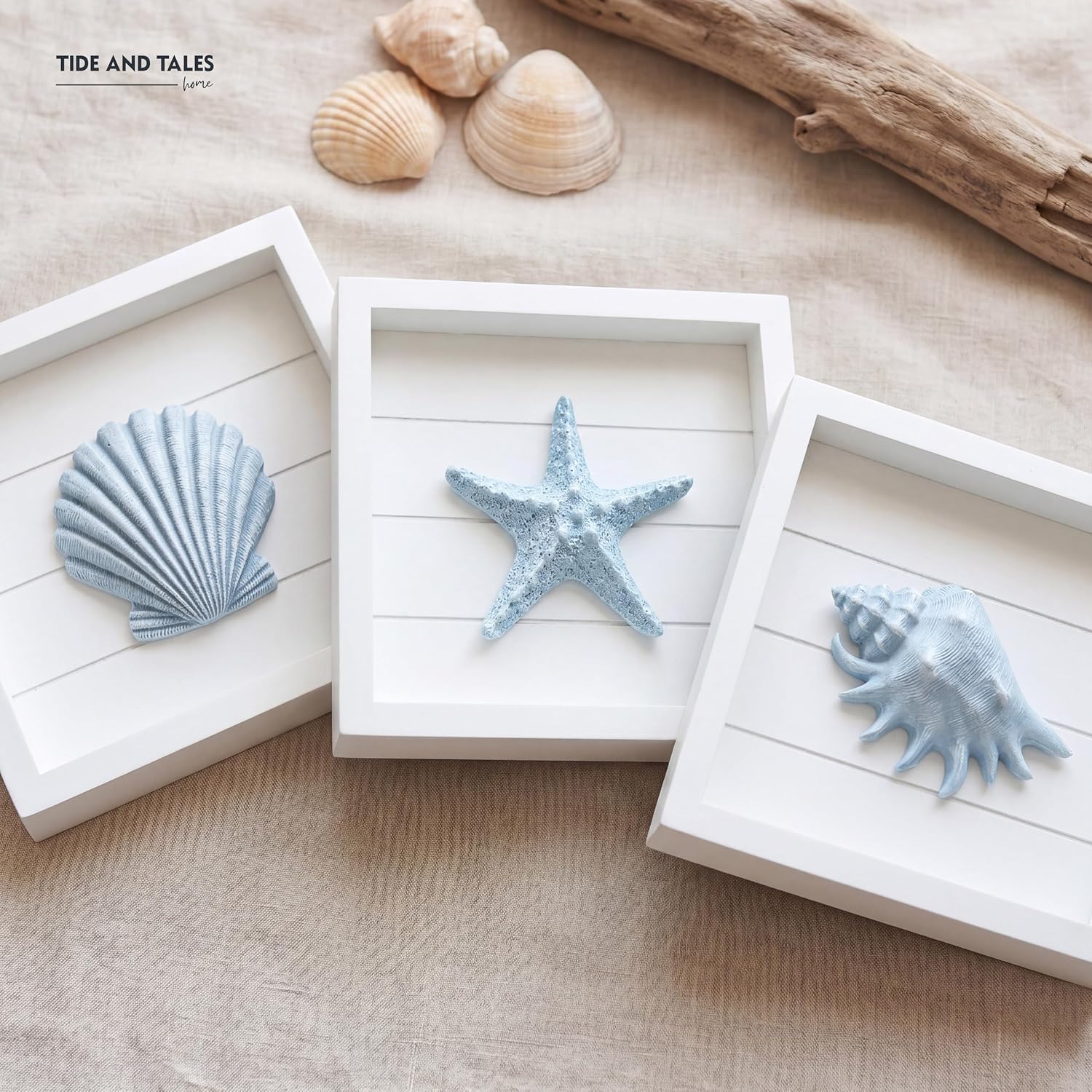 TideAndTales Blue Seashells and Starfish (Framed Set of 3) Coastal 3D Wall Art, Beach Wall Decor for Bathroom or Coastal Bedroom, Ocean Inspired Seaside Decorations for Home or Beach House (7"x7") - Image 9