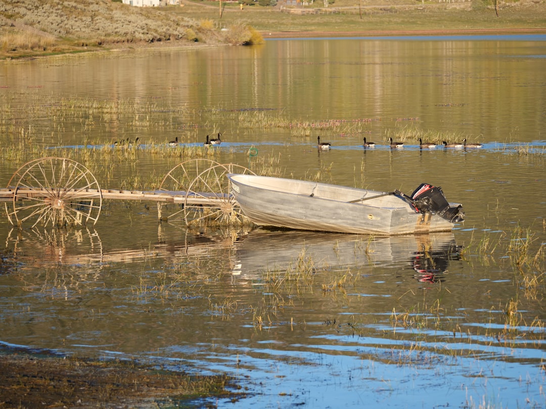 A sleek aluminum boat gliding across a serene lake, surrounded by lush greenery and clear blue skies.