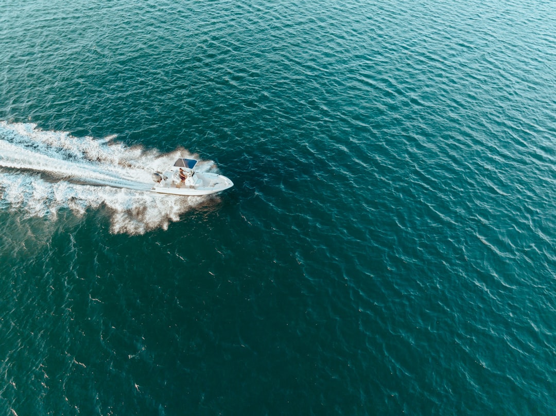 A serene scene of a boat club with multiple boats docked, showcasing a vibrant community of boaters enjoying the water.