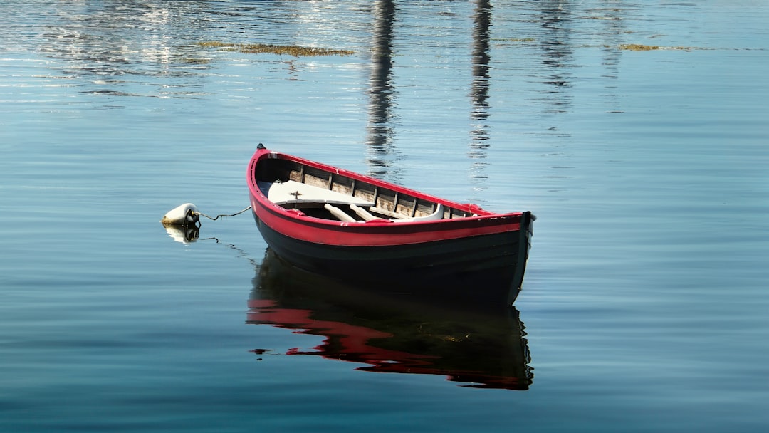A jon boat floating on calm water, surrounded by nature, showcasing its flat-bottom design and stability.
