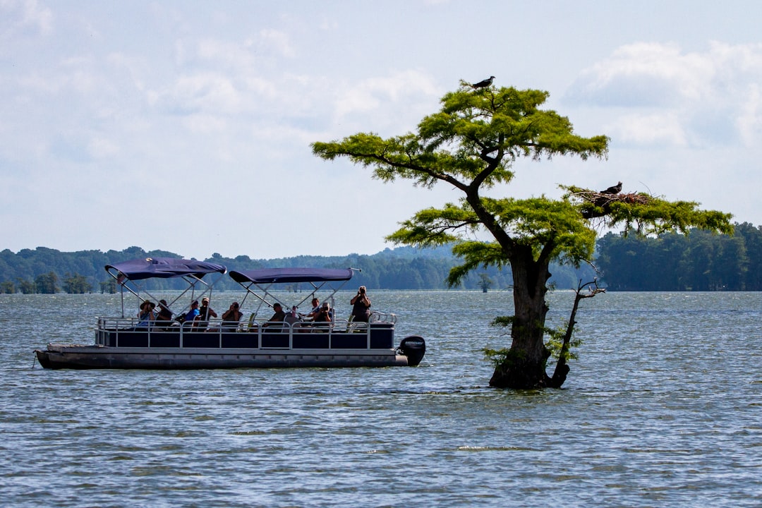 A family enjoying a day on a pontoon boat, surrounded by water and nature, showcasing a relaxed and social atmosphere.