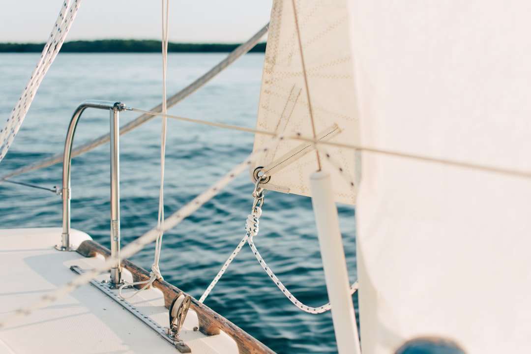 A serene view of various sailboats gliding across a calm body of water, showcasing different types and sizes.
