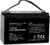 Weize Deep Cycle AGM 12 Volt 100Ah Battery, Maintenance-Free, 3% Self-Discharge Rate, 1150A Max Discharge Current, Perfect for RV, Solar, Trolling Motor, Wind, Marine, Camping and Off-Grid System