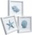 TideAndTales Blue Seashells and Starfish (Framed Set of 3) Coastal 3D Wall Art, Beach Wall Decor for Bathroom or Coastal Bedroom, Ocean Inspired Seaside Decorations for Home or Beach House (7″x7″)