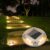 VOLISUN Solar Driveway Lights Dock Marine Lights 12 Pack,2 Colors in 1,Outdoor IP67 LED Deck Light,Solar Powered Waterproof Warning Step Light for Driveway Sidewalk Pathway (White/Warm White)