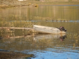 Aluminum Boats: Why Many Boaters Choose Them