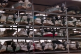 Boat Storage Guide: Indoor, Outdoor, and Covered Options