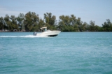 Center Console Boats: What They Are Best Used For
